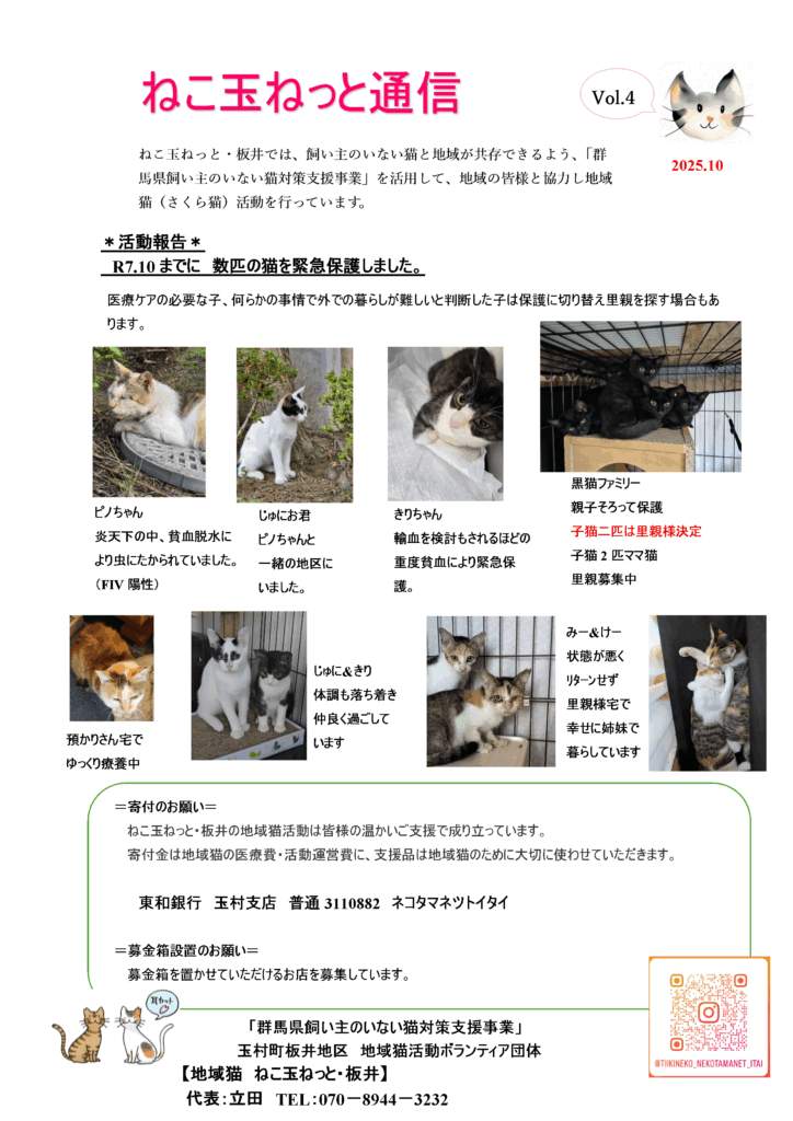 取引猫 リクエスト 16点 ねこ玉ねっと通信 Vol.4 - ねこ玉ねっと【群馬県佐波郡玉村町の保護猫
