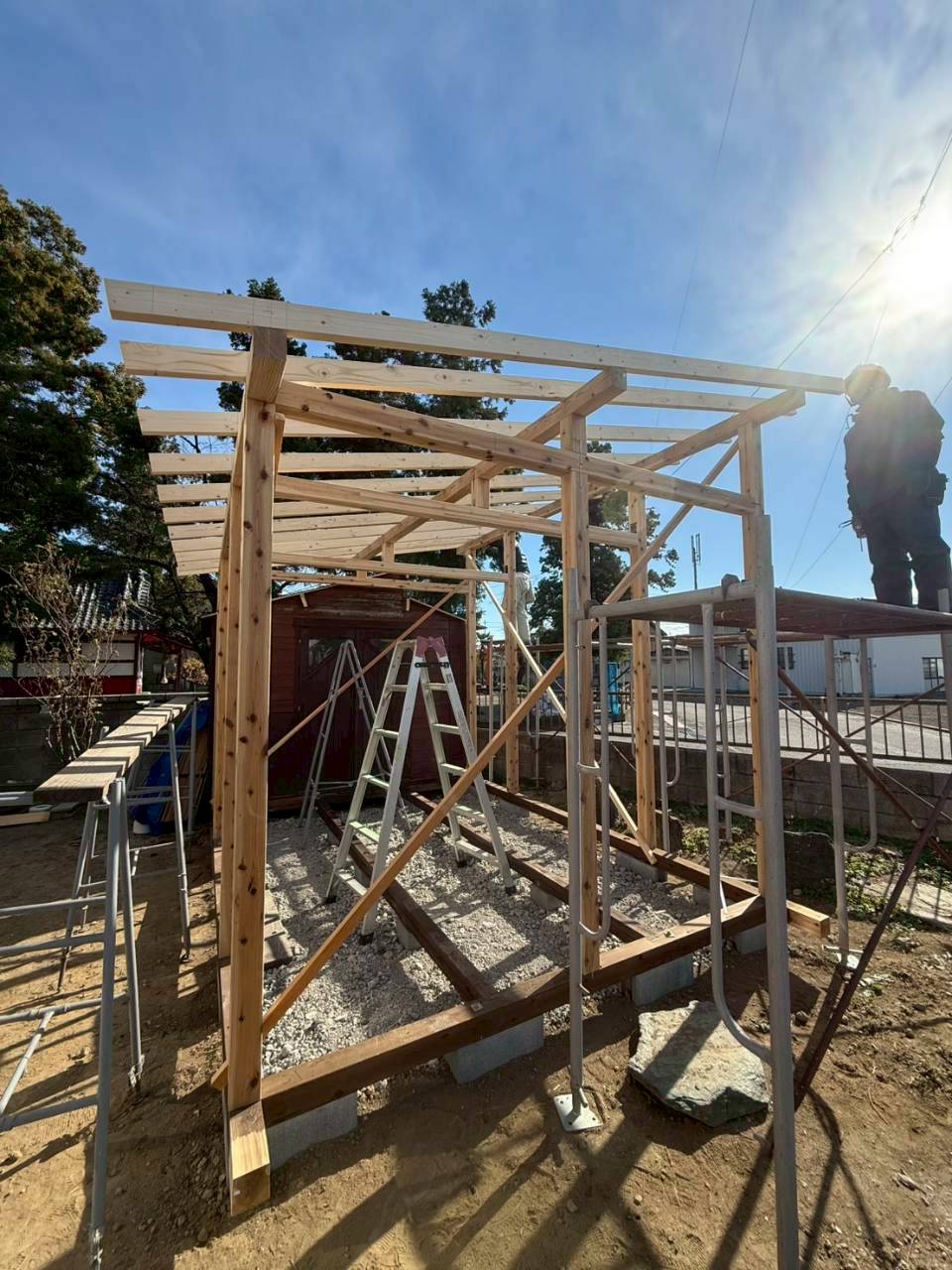 保護猫シェルターの平面図イメージ